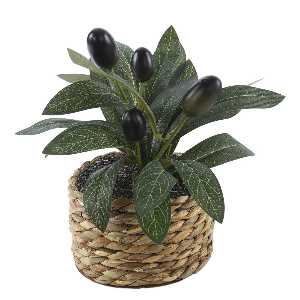 Artificial Plants Pocket Olive - Office Furniture Used review and price